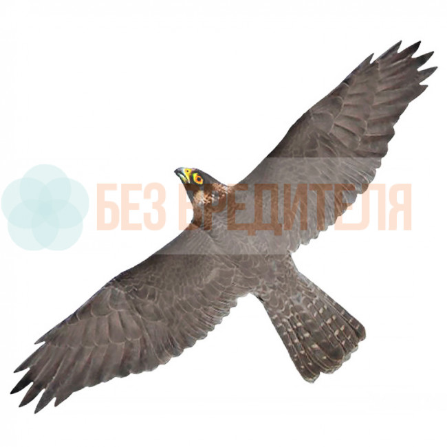 Визуальный отпугиватель птиц Хищник 1