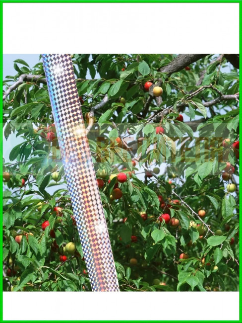 Светоотражающая лента от птиц Sititek (100 м, 5 см) Светоотражающая лента от птиц Sititek (100 м, 5 см)