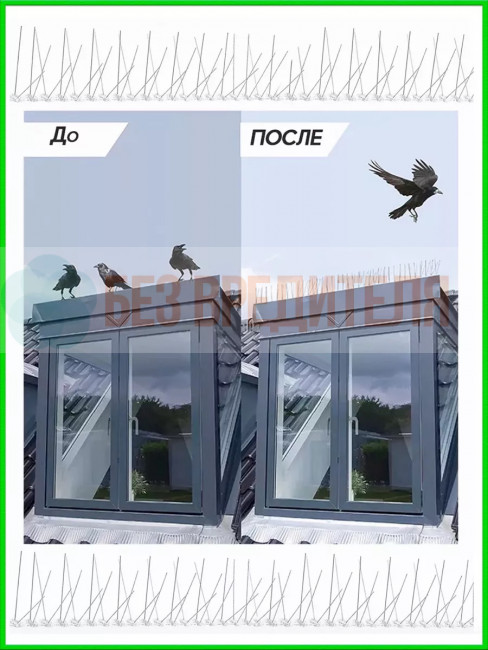 Антиприсадные шипы от птиц Jinshi (комплект 3 метра, 6 секций) Антиприсадные шипы от птиц Jinshi (комплект 3 метра, 6 секций)