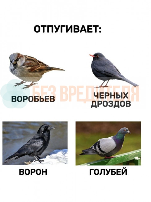 Отпугиватель птиц Сокол БИОС Отпугиватель птиц Сокол БИОС